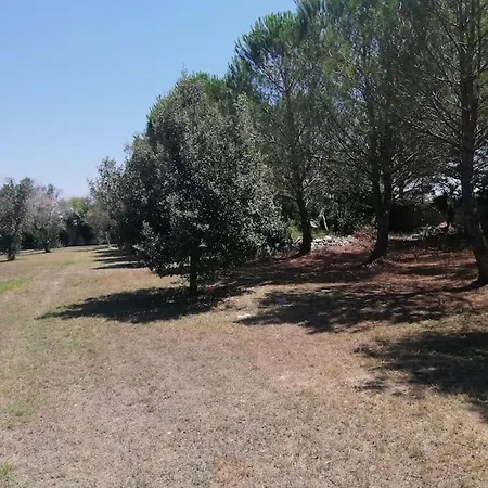 Del Glicine